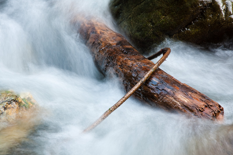 Branches In Small Cascade